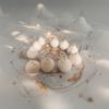 Bild von Individuelle Lichterkette