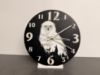 Bild von Schneeeule Hedwig