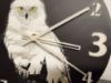 Bild von Schneeeule Hedwig