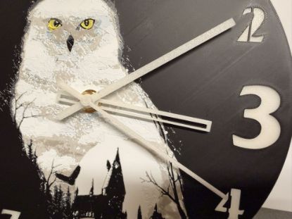 Bild von Schneeeule Hedwig