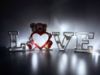 Bild von Bärenliebe