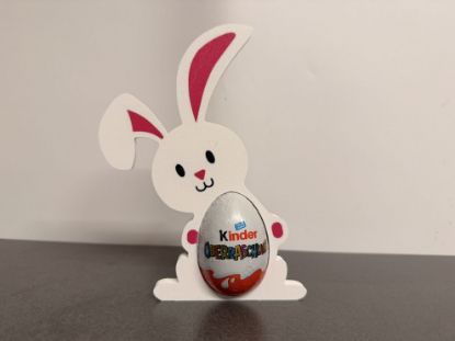 Bild von Kinderhase