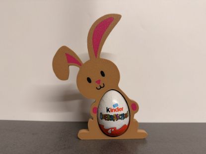 Bild von Kinderhase