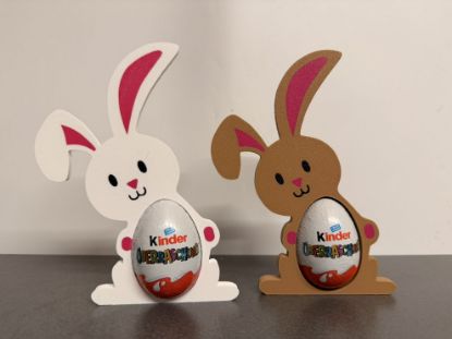 Bild von Kinderhase