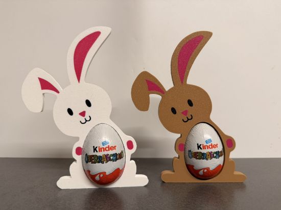 Bild von Kinderhase